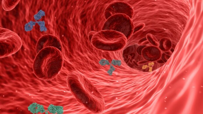 LDL Cholesterin