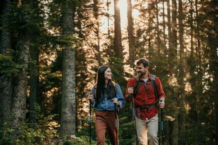 Wald, Wandern, südtirol, Bild: AdobeStock Wald, Wandern, südtirol, Bild: AdobeStock