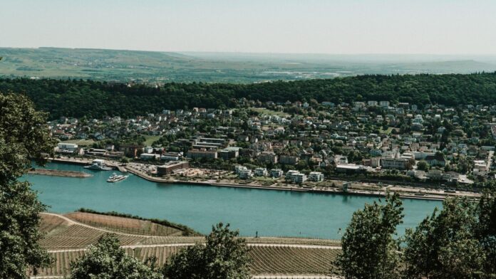 wandern-im-rheingau Wandern im Rheingau: Blick über Weinberge auf den Rhein bei Rüdesheim